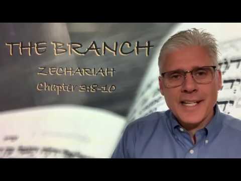 ZECHARIAH 3:8-10  &quot;THE BRANCH&quot;