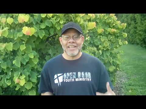 1 Thessalonians 5:22:  A Quick Look