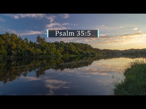 God's Word Daily - 05 Feb 2022 | Psalm 35:5