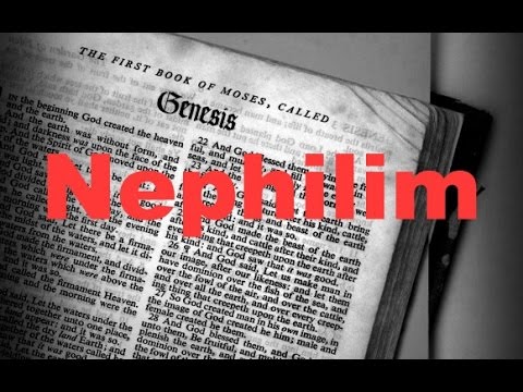 The Sons of God in Gen 6:2-4 were Fallen Angels Who Produced Nephilim