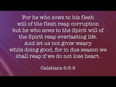 For He Who Sows to the Flesh (Galatians 6:8-9) - A Bible memory verse song￼
