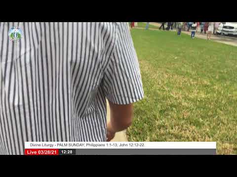 Divine Liturgy - PALM SUNDAY; Philippians 1:1-13, John 12:12-22.