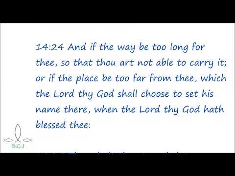 Party Time  - Deuteronomy 14:26 - Daniel 7:25 Effect