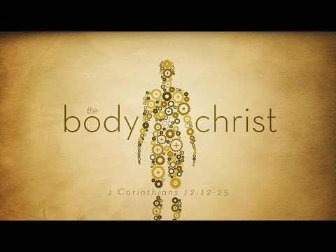 The Body of Christ (1 Corinthians 12:12-25)