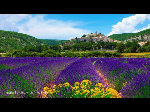 Lectio Divina - Psalm 22:27-31