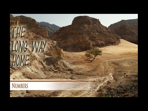 The Next Leader -Numbers 27:12-23