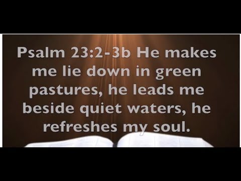 Psalm 23:2-3b -  Are You Following The Good Shepherd
