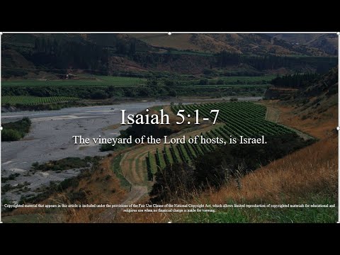 27th Sunday – OT – A - First Reading - Isaiah 5:1–7 – The vineyard
