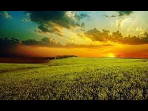 He Will Reign-Scripture from the Lord- Psalms 72:8-10