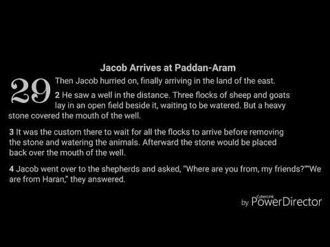 Genesis 28:1 - 30:8