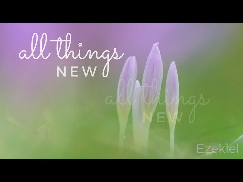 A New Glory (Ezekiel 43:1-5)