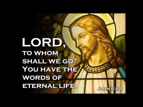 Devotion #17: John 6:66-69