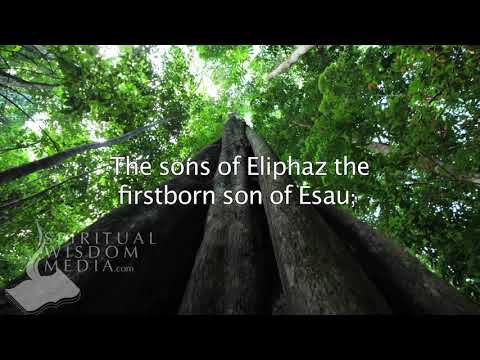 Genesis 36:15 - These were dukes of the sons of Esau: the sons of Eliphaz - Bible Verses