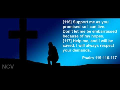Psalm 119:116-117
