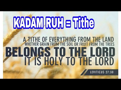 KADAM RUH || Luke 11:42-46 || Rongmei Catholic Daily