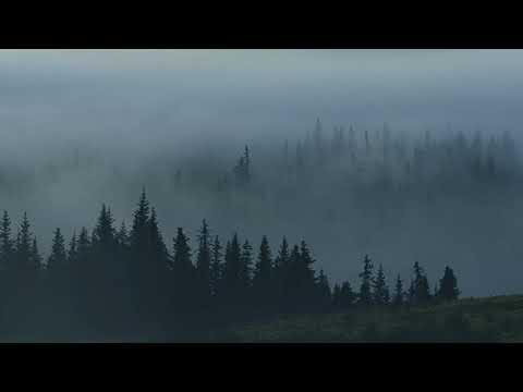 D A Y  2 6 // 2 Corinthians 7:9-11, 1 Peter 5:8-9