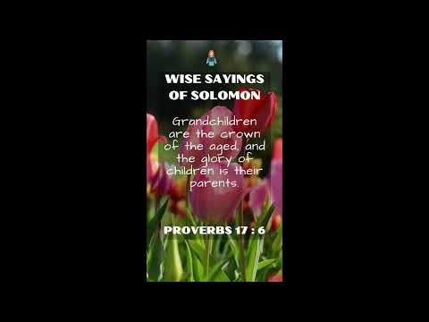 Proverbs 17:6 | NRSV Bible | Wise Sayings of Solomon