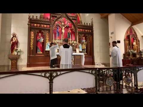 Graduale - Sanctissimi Cordis Domini Nostri Jesu Christi (Ps 24:8-9; Mt 11:29)