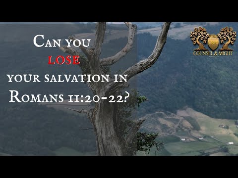 Romans 11:20-22 is National, not Individual.