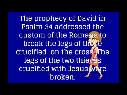 Isaiah 50:6 - I offered my back to those who beat Me