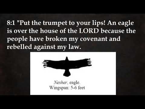 Invisible Church Video - Hosea 7:6-8:14