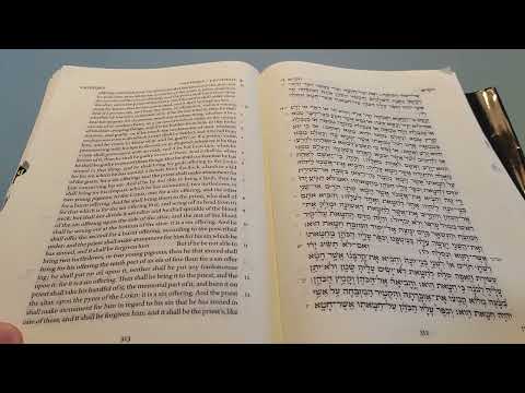 Daily Bible Reading - Leviticus 4:13 - 6:1