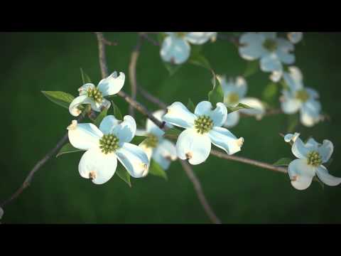 FLBC Daily Devotion Proverbs 27:4