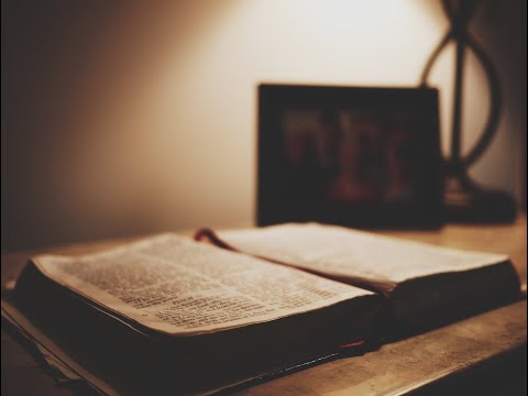 A Verse for the Day 2 Sam 18:31 The LORD has delivered you this day from all who rose up against you