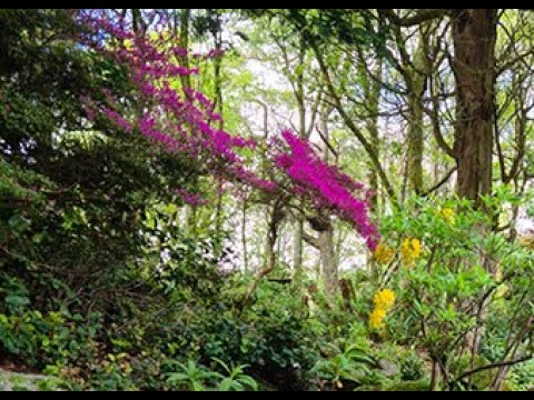 Gethsemane  (Mark 14:32-42)