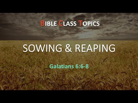 Sowing & Reaping (Galatians 6:6-8)