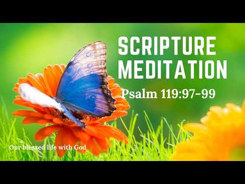 #76 –  Scripture Meditation (Psalm 119:97-99) God's commands are boundless!