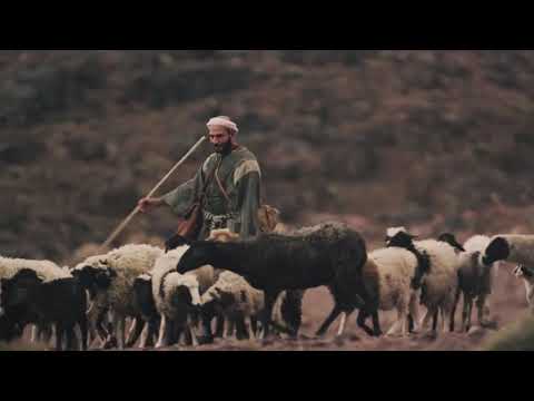 Daily Gospel Reading Video - St. Matthew 18:12-14. (English)