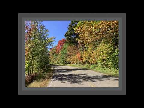 Coffee Break (5 Minutes with God) Psalm 56:6-13