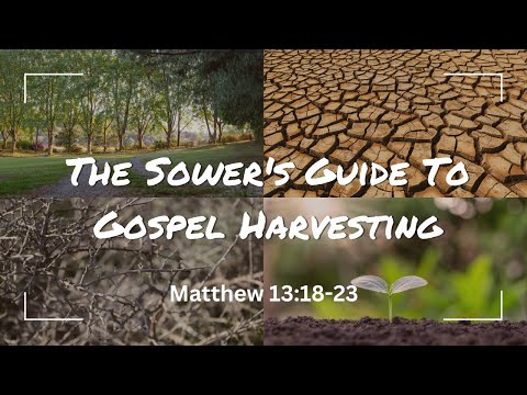 The Sower's Guide To Gospel Harvesting [ Matthew 13:18-23 ] by Tim Cantrell