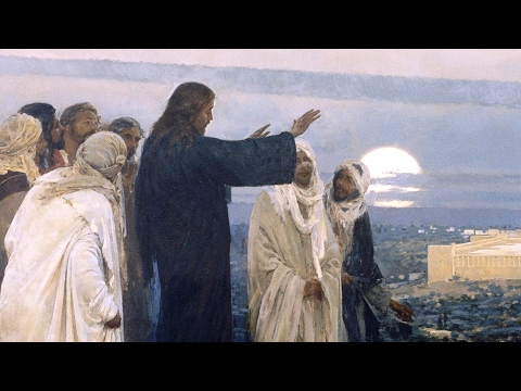 Everyday Bible Study - Jesus Weeps over Jerusalem - Luke 19:41-48 - John Riley - #45