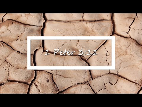 1 Peter 3:11