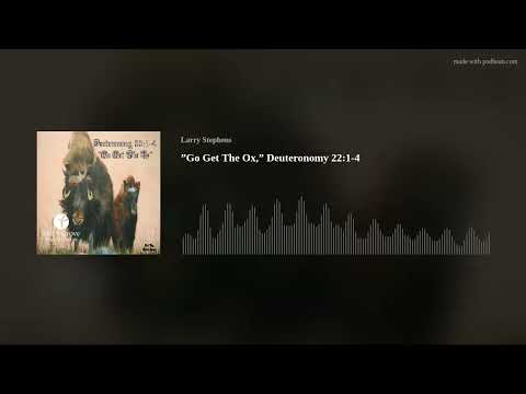 ”Go Get The Ox,” Deuteronomy 22:1-4