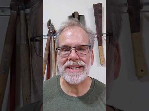 Pastor Jeff Frohner Minute Devotionals: Proverbs 15:4