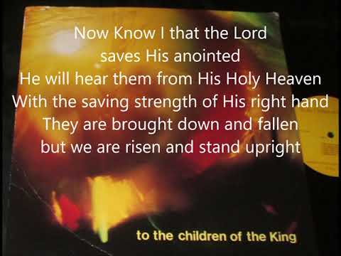 Ps 20:6-8 Some Trust in Chariots