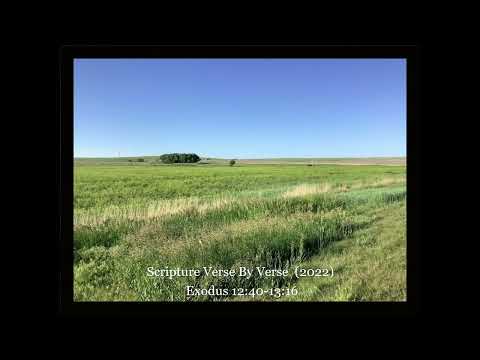 Scripture Verse By Verse (5) Exodus 12:40-13:16