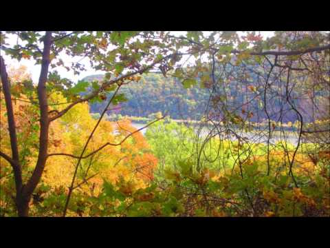 "A Detailed Prophecy" Isaiah 44:26 - 28