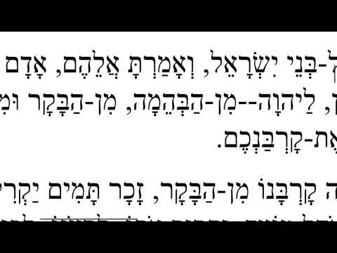 Leviticus 1:1-3 (Vayikra) in Hebrew