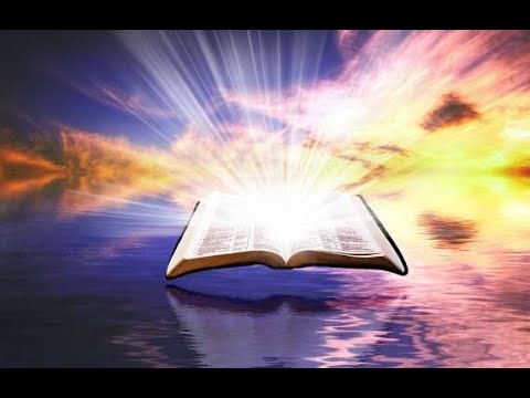 1 Timothy 5:20 Explained