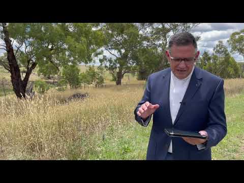 Sermon for 17 January - John 1:10-13