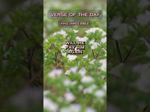 VERSE OF THE DAY - Proverbs 19:17 #DailyScripture #BibleVerse #ChristianShorts #ScriptureOfTheDay