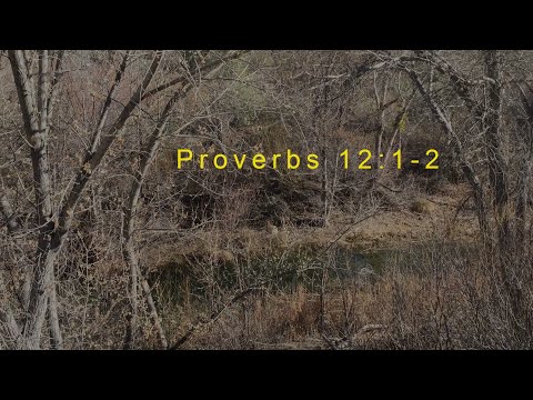 Proverbs 12:1-2 | Bible Verses About Wickedness and Evil