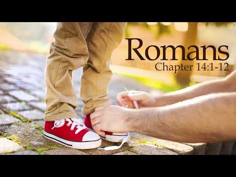 Verse by Verse - Romans 14:1-12