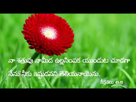 Psalm 41:11  Today's Bible Devotion