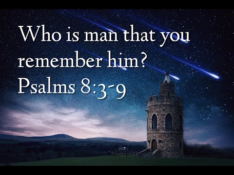 Psalms - Through the eyes of The Living Letters | Psalms 8:3-9