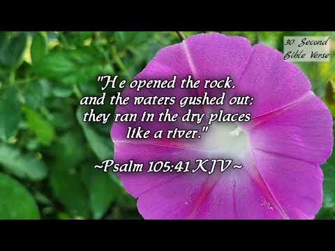 Psalm 105:41 kjv